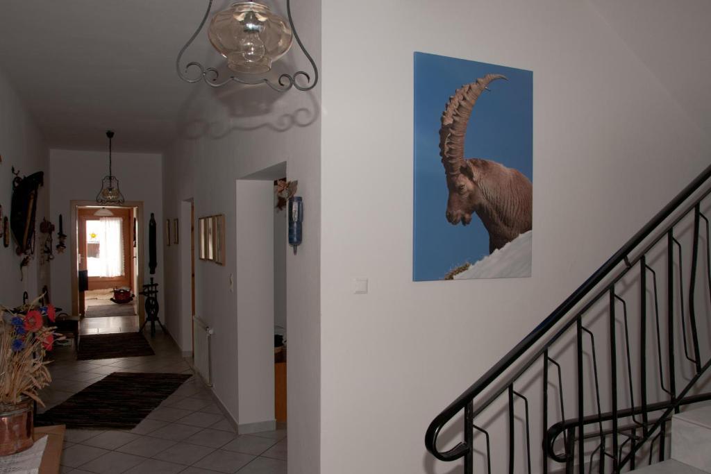 Appartements Schmalzerhof Гріс-ім-Зелльрайн Екстер'єр фото